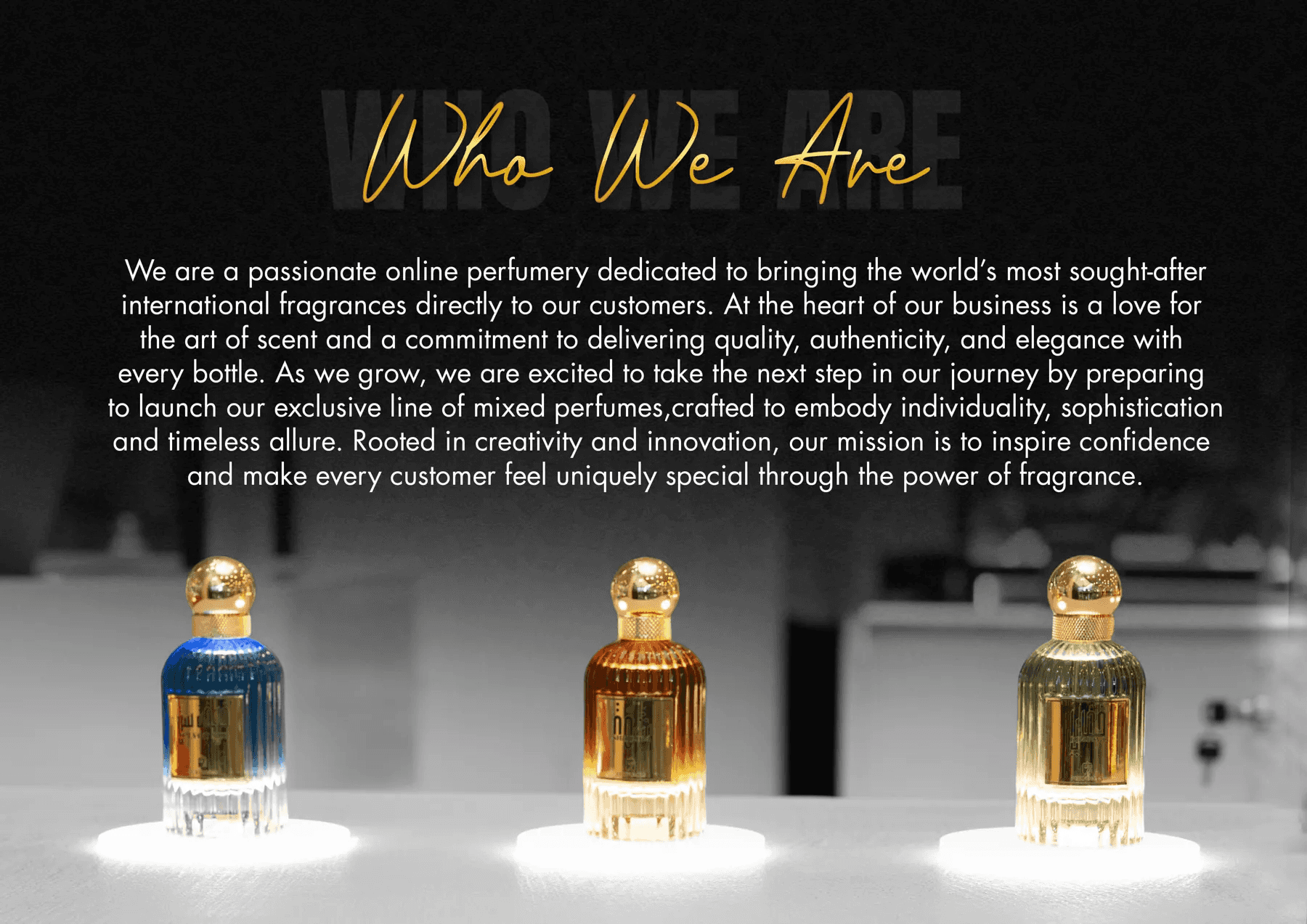 Company profile: Who We Are